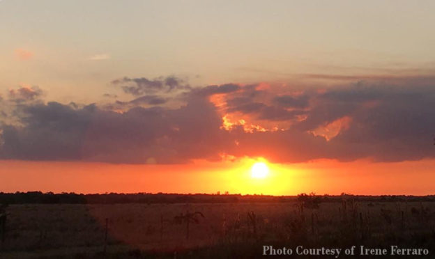 Picture of the Sunset from the Acreage